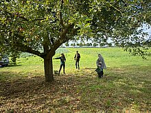 Schweißtreibende Arbeit bei bestem Wetter